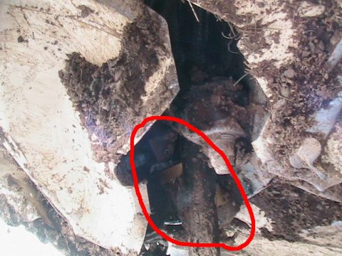 Damaged gascolator